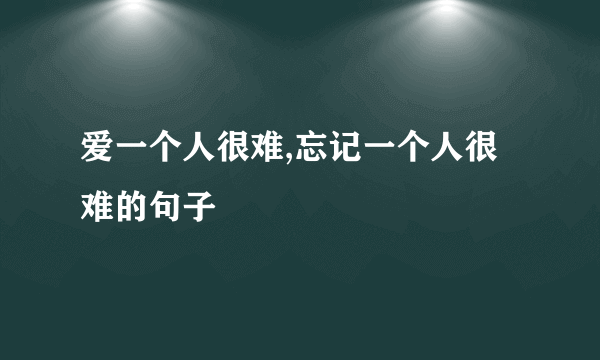爱一个人很难,忘记一个人很难的句子