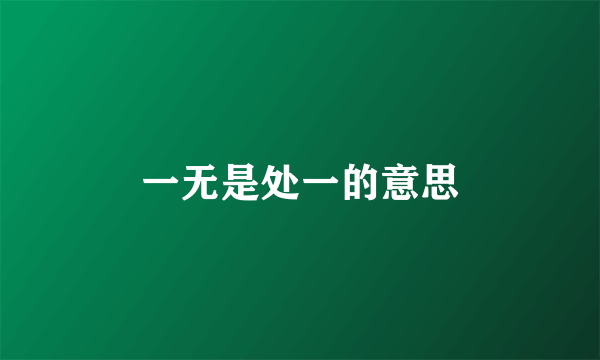 一无是处一的意思