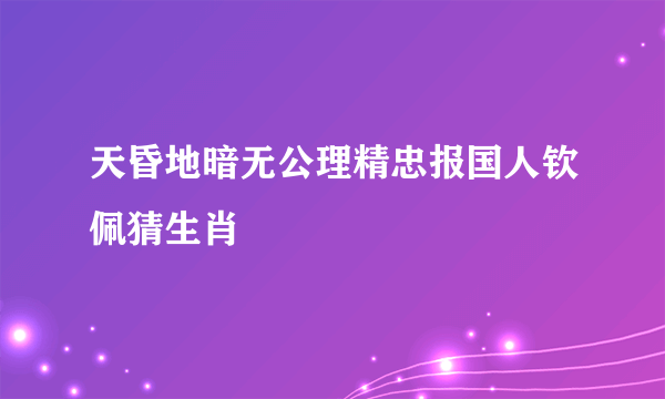 天昏地暗无公理精忠报国人钦佩猜生肖