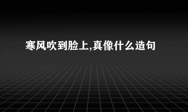 寒风吹到脸上,真像什么造句