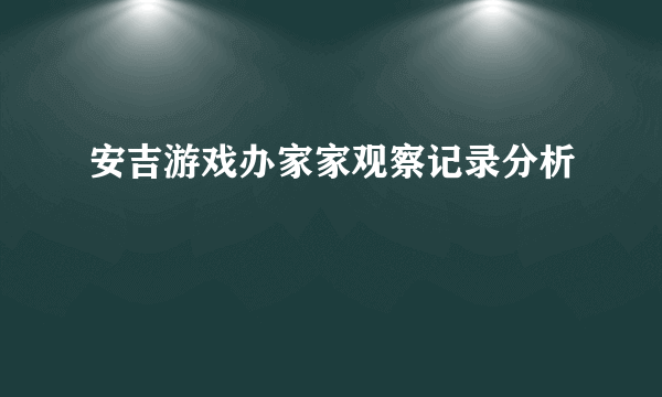 安吉游戏办家家观察记录分析