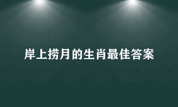 岸上捞月的生肖最佳答案