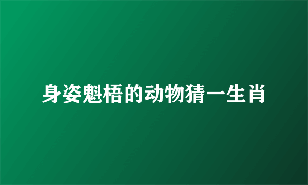 身姿魁梧的动物猜一生肖