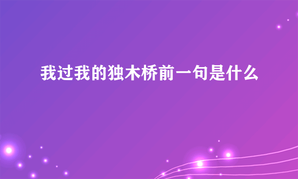 我过我的独木桥前一句是什么