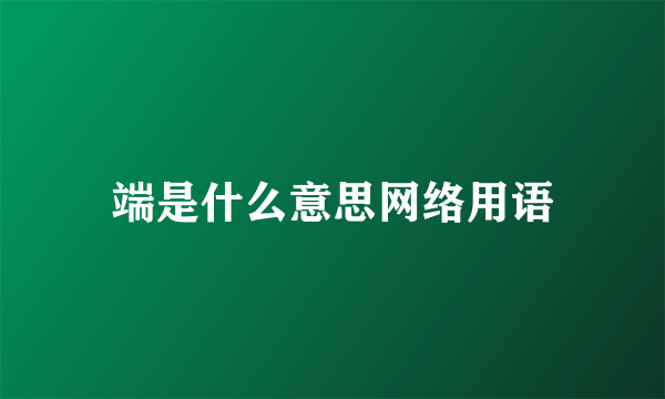 端是什么意思网络用语