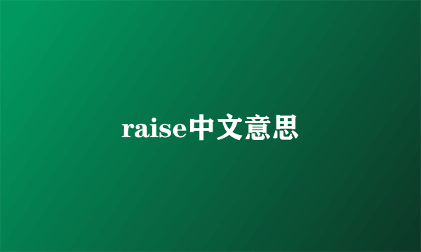 raise中文意思