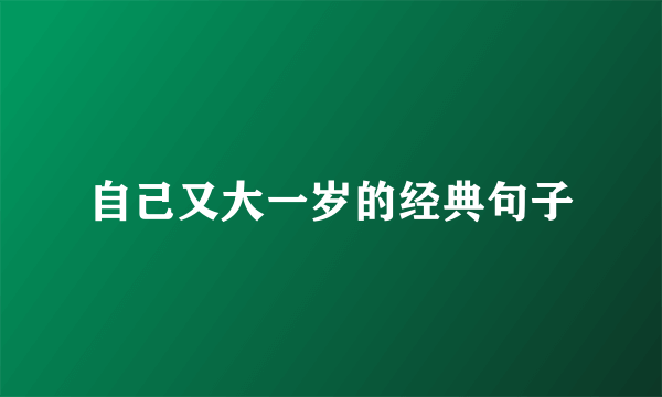 自己又大一岁的经典句子