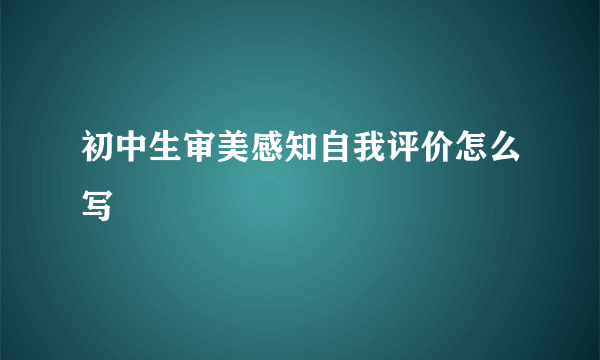初中生审美感知自我评价怎么写