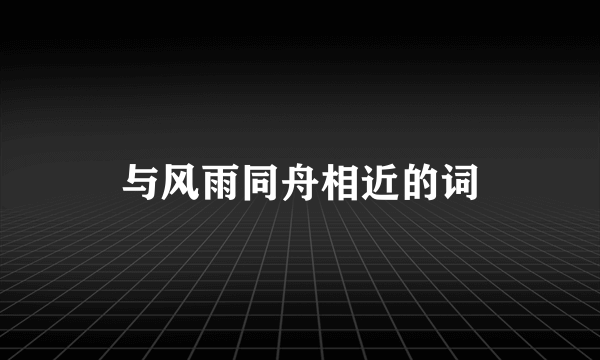与风雨同舟相近的词