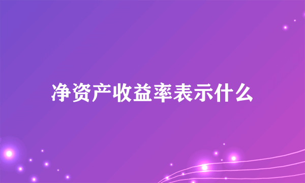 净资产收益率表示什么
