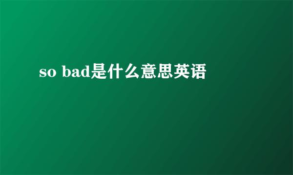 so bad是什么意思英语