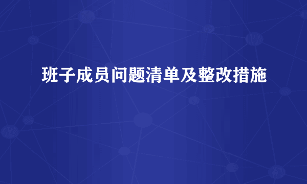 班子成员问题清单及整改措施