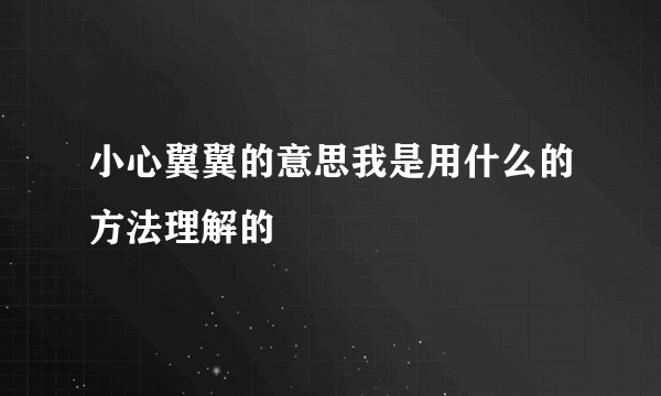 小心翼翼的意思我是用什么的方法理解的