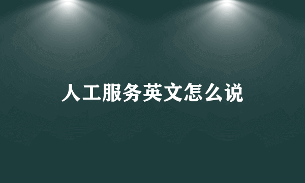 人工服务英文怎么说