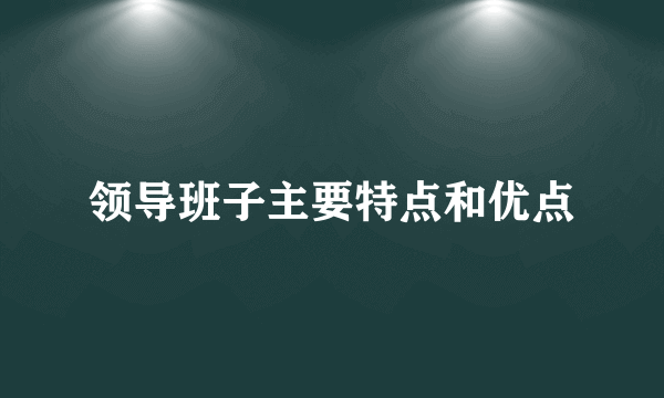 领导班子主要特点和优点