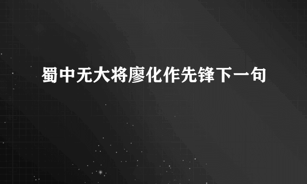 蜀中无大将廖化作先锋下一句