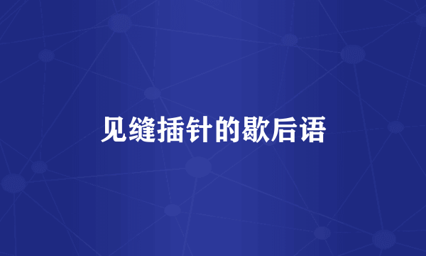见缝插针的歇后语