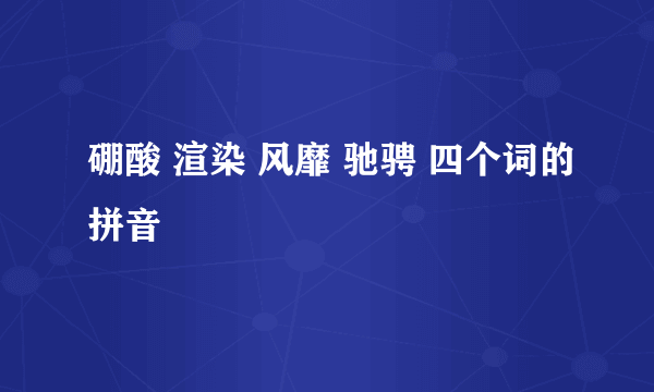 硼酸 渲染 风靡 驰骋 四个词的拼音