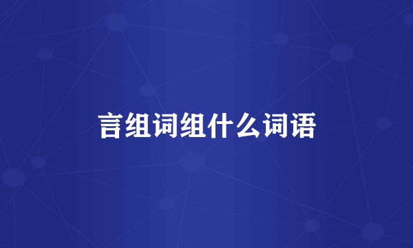 言组词组什么词语