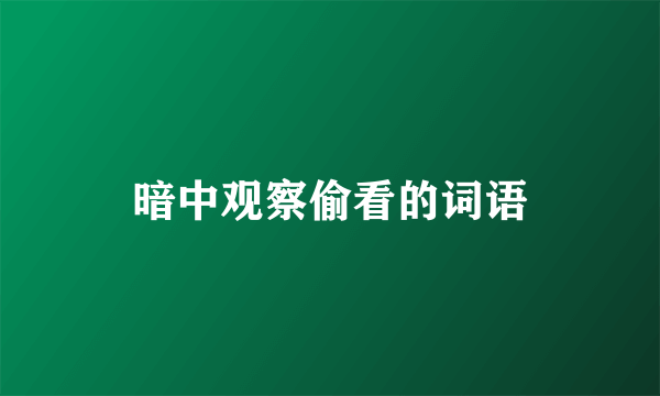 暗中观察偷看的词语