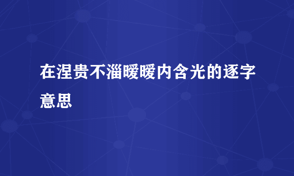 在涅贵不淄暧暧内含光的逐字意思