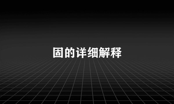 固的详细解释