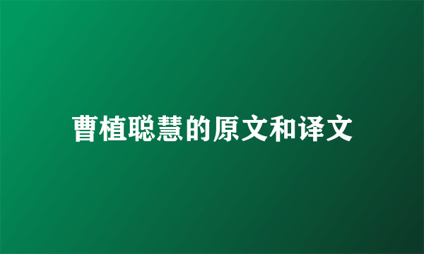 曹植聪慧的原文和译文