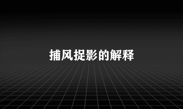 捕风捉影的解释