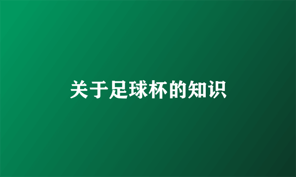 关于足球杯的知识
