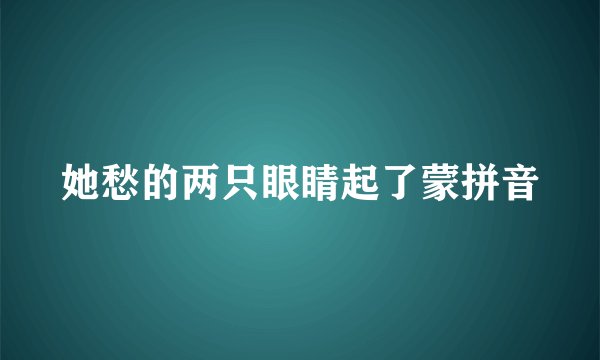 她愁的两只眼睛起了蒙拼音