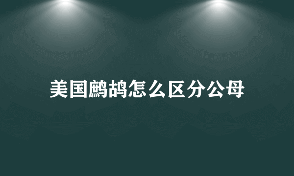美国鹧鸪怎么区分公母