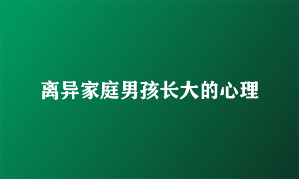 离异家庭男孩长大的心理