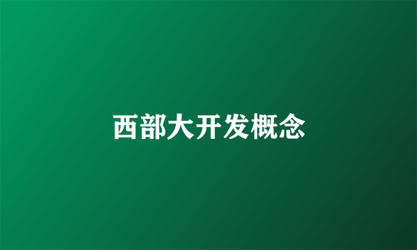 西部大开发概念