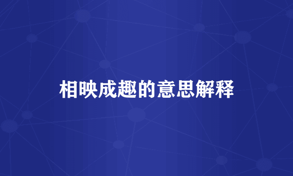 相映成趣的意思解释
