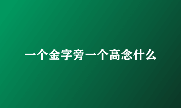 一个金字旁一个高念什么