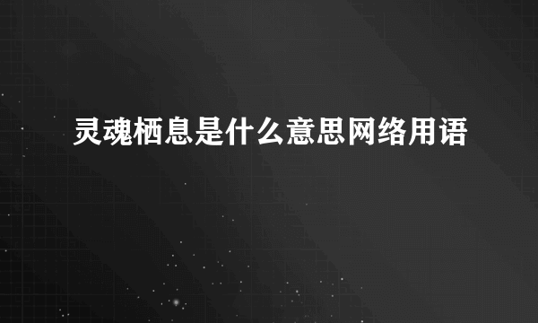 灵魂栖息是什么意思网络用语