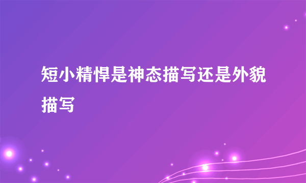 短小精悍是神态描写还是外貌描写