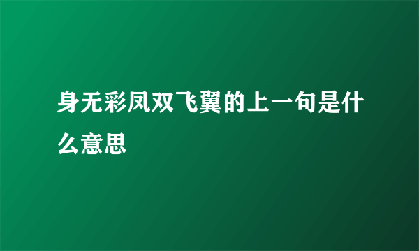 身无彩凤双飞翼的上一句是什么意思