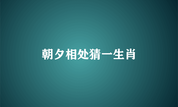 朝夕相处猜一生肖