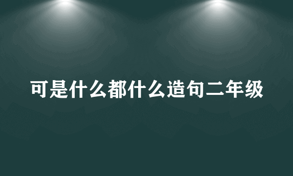 可是什么都什么造句二年级