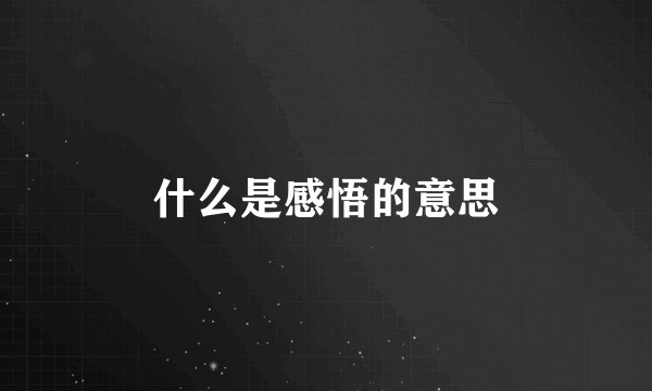 什么是感悟的意思
