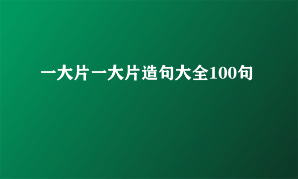 一大片一大片造句大全100句