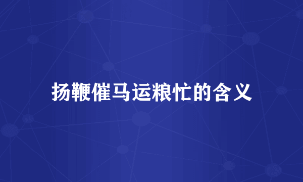 扬鞭催马运粮忙的含义