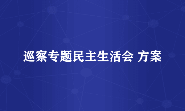 巡察专题民主生活会 方案