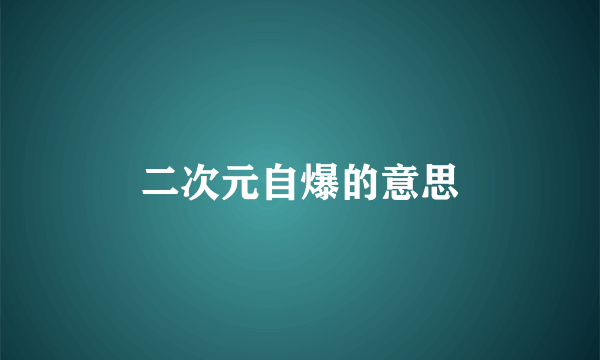 二次元自爆的意思