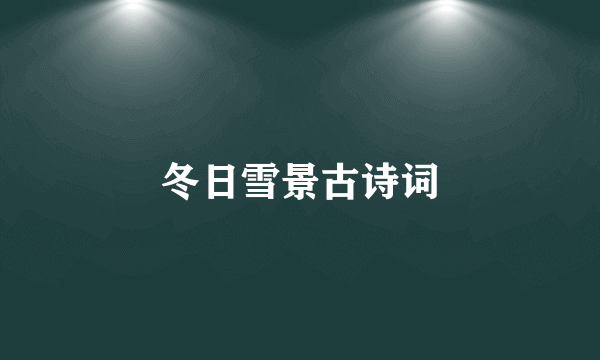 冬日雪景古诗词