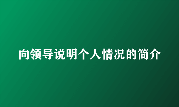 向领导说明个人情况的简介