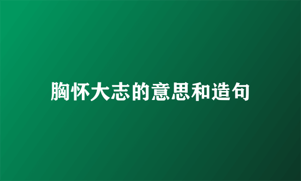 胸怀大志的意思和造句