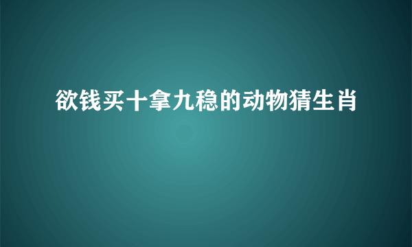 欲钱买十拿九稳的动物猜生肖