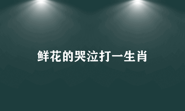 鲜花的哭泣打一生肖